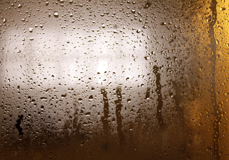 rain on window